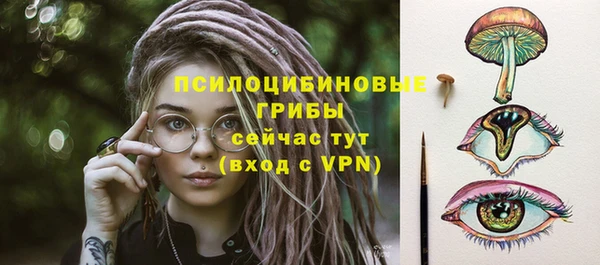 соль курить ск Алзамай