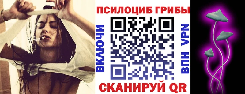 Псилоцибиновые грибы Cubensis  Урай 